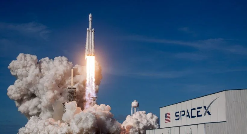 elon